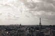 Parisian Majesty: The Eiffel Tower in City Splendor