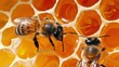 Bees fanning their wings to regulate the temperature within the honey cells. Worker bees, with unwavering commitment, construct honey cells to sustain the hive's thriving community.