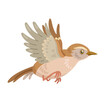 Funny wren bird is flying.  Isolated on white background. Vector flat illustration.