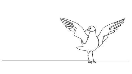 Wall Mural - animated continuous single line drawing of standing seagull, wings spread, line art animation