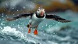 An Atlantic puffin in flight.; Machias Seal Island, Maine., 8k Genrative AI