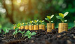 Conceptual image of financial growth with stacks of coins and young plants sprouting on top, symbolizing investment and wealth accumulation, with a blurred green natural background.
