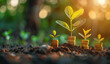 Conceptual image of increasing coin stacks with young plants growing on top, symbolizing financial growth and investment success, with a blurred natural background.