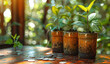 Young plants in pots with sunlight filtering through foliage, symbolizing growth and eco-friendly gardening. Coins scattered suggest investment in nature.