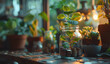 Tranquil indoor gardening scene with a small plant growing in a glass jar, surrounded by various potted plants, bathed in soft, warm light.