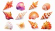 Colorful tropical shells underwater icon set on white background