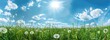 Bright and Lively Spring Meadow under a Radiant Sky - Generative AI