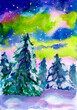 Serene winter forest under vibrant aurora borealis, watercolor illustration