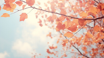 Wall Mural - autumn leaf fall, falling leaves on the background of a light blue autumn sky, yellow and red leaves