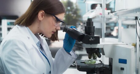 Leinwandbilder - Medical Research and Development Laboratory: Beautiful Caucasian Female Scientist Working on a Computer and Looking at a Sample in a Petri Dish Under a Microscope in an Advanced Biotechnology Lab