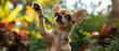 Charming Chihuahua Waves in Sunlit Bliss. Concept Pet Photography, Cute Poses, Happy Moments, Natural Lighting
