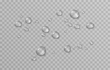 Wall Mural - Vector drops png. Drops after rain, drops of dew. Condensation on the surface or glass.