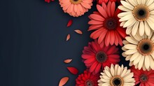 Vibrant Daisy Flowers On Dark Backdrop - An Assortment Of Red And Peach Daisy Flowers Scattered With Petals On A Contrasting Dark Background For A Modern Look