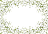 Fototapeta Panele - Gypsophila flowers in a floral frame isolated on white or transparent background