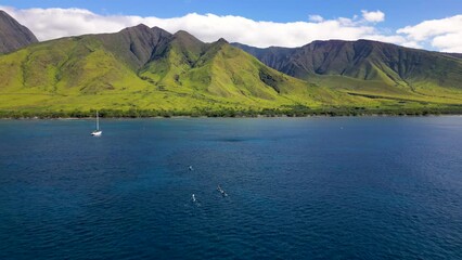 Wall Mural - aerial view of kayakers paddling towards coastline of maui. deep blue sea meets lush green peaks of 