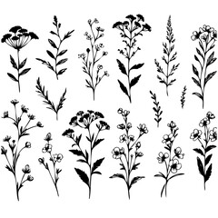 Wall Mural - A collection of black and white flowers. The flowers are arranged in a row and are of various sizes. The flowers are all different types and are spread out across the image