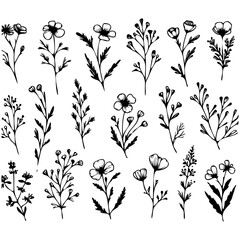 Wall Mural - A collection of black and white flowers drawn in pencil. The flowers are arranged in a grid pattern, with some overlapping and others standing alone