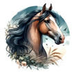 Horse. Horse head. Stallion. Portrait. Watercolor. Isolated illustration on a white background. Banner. Close-up