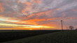 colorful sunset above the fields in Vojvodina