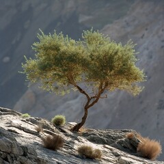 Wall Mural - Tree tamarisk