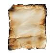 Torn paper with burnt edges on transparent background