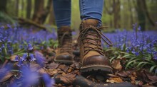 Exploring The Lush Trails In Hiking Boots, We Stumbled Upon Carpets Of Bluebells, Unraveling Spring's Hidden Wonders.