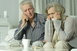Portrait of elderly man and woman with telephone.