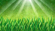 green grass background with light shining through it