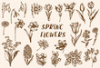Set of vintage spring flowers