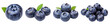 Set blueberry fruit isolated on transparent background cutout, PNG file.