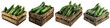 Wooden Box Full Of Zucchini Hyperrealistic Highly Detailed Isolated On Transparent Background Png