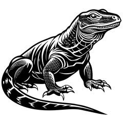 komodo vector design 