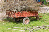 Fototapeta Uliczki - An old trailer is completely filled with branches cut from a large tree