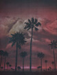 Dark Rose Pink Palms mural