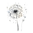 Watercolor illustration of dandelion with flying seeds isolated on white background.