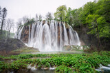 Fototapeta Kwiaty - Amazing picture with some of picturesque waterfalls in the green spring forest of Plitvice national park in Croatia. Plitvice lakes closer view..