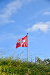 Waving Swiss flag on a flagpole in the grass