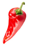 Fototapeta Dmuchawce - red hot chili pepper isolated on a white background. Clipping path