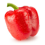 Fototapeta Dmuchawce - red bell pepper with water drops isolated on a white background. Clipping path