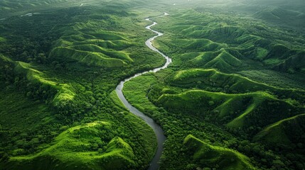 Winding river through lush green forest