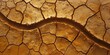  Cracked Soil Patterns Evoke the Urgent Narrative of Drought and Climate Change, Generative AI