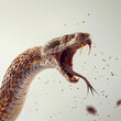 Angry Snake With Open Mouth in Striking Pose