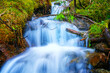Wasserlauf im Wald, Wasserfall