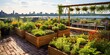 AI Generated. AI Generative. Rooftop city urban building herbal organic garden vegetables grass green plants. Graphic Art