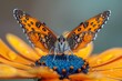 Posado en una flor vibrante, las alas de una mariposa revolotean como susurros delicados, pintando el aire con el ballet de su gracia silente.