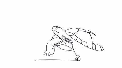 Wall Mural - Turtle. One line drawing animation. Video clip with alpha channel.