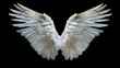 Angel wings isolated on the black background. fantasy feather wings for fashion design. cosplay and dress up party.