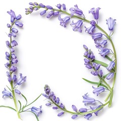 Canvas Print - Vibrant Bluebell Floral Frame with Negative Space for Copy