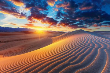 Canvas Print - sunset over the desert