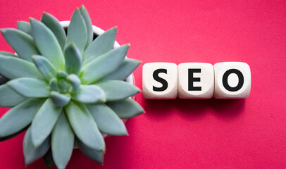 Wall Mural - SEO - Search Engine Optimization symbol. Wooden blocks with words SEO. Beautiful red background with succulent plant. Business and SEO concept. Copy space.